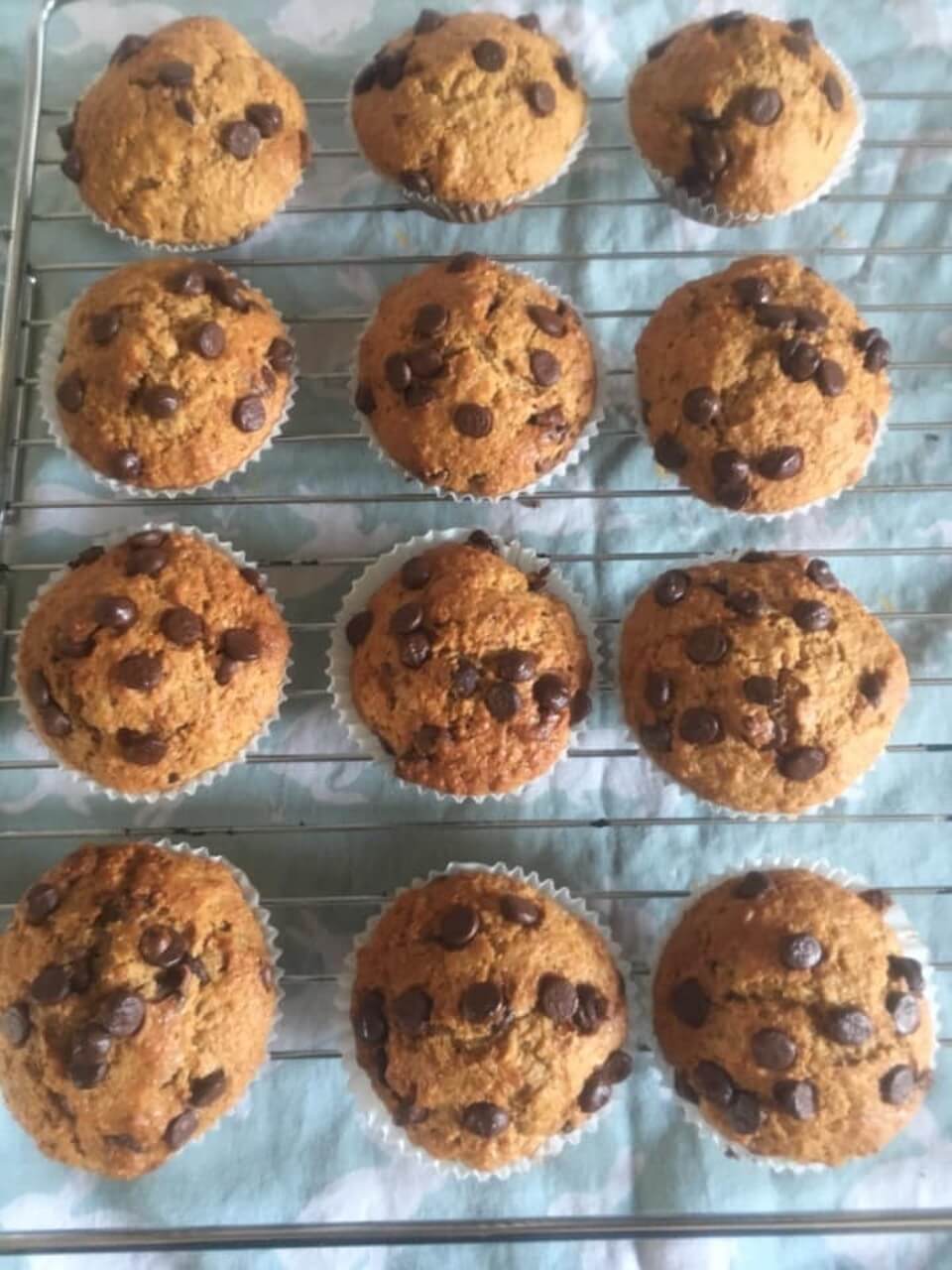 Katie's muffins
